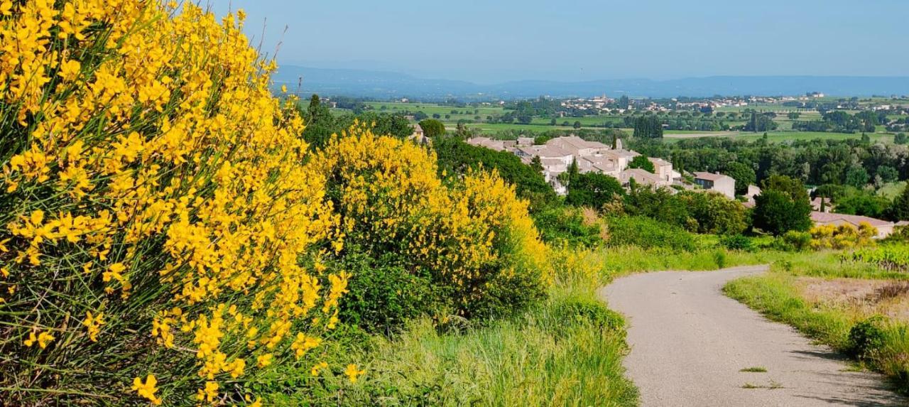Maison De Village En Provence Avec Terrasse De 33M2 Saint-Roman-de-Malegarde ภายนอก รูปภาพ